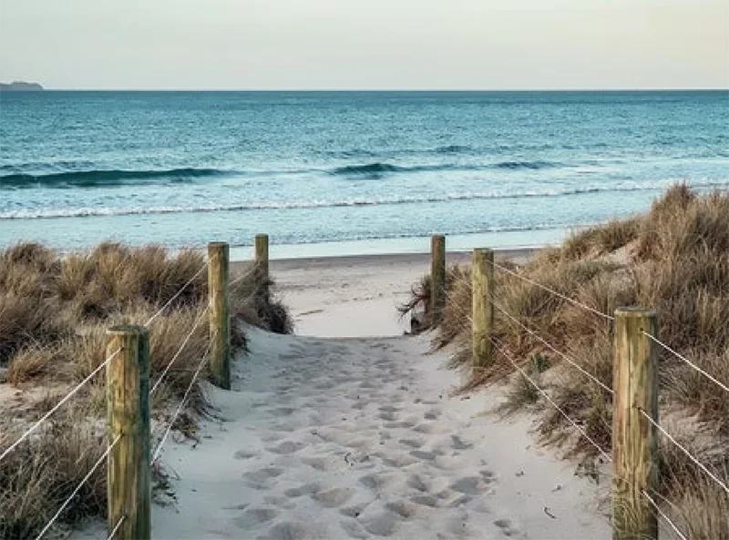 A path to the beach