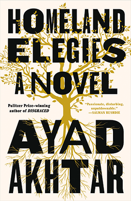 Homeland Elegies book cover