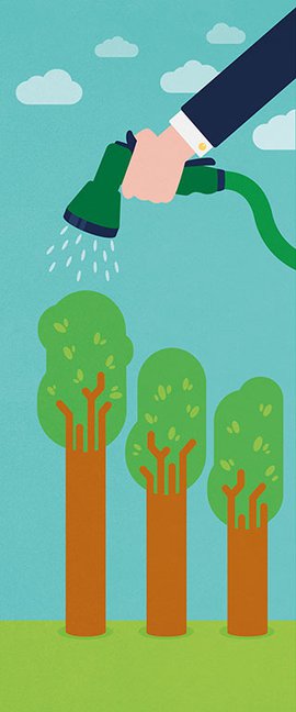 Illustration of growth - trees lined up growing in size with a person pouring water from a watering can over them.jpg