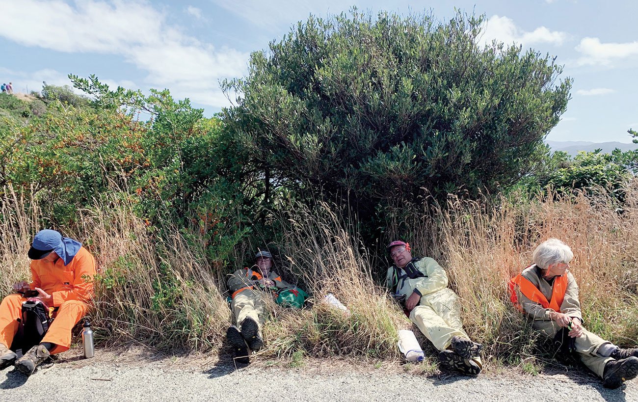 Karo Busters on Matiu Island