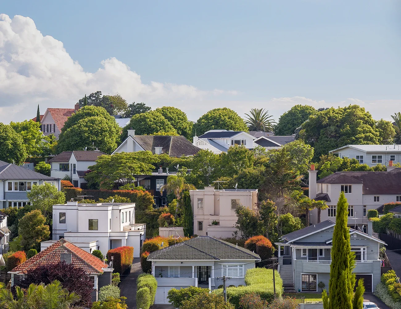 Lots of houses on a hill