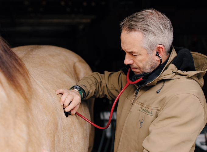 Ōtaki veterinarian Ray Lenaghan caring for a horse listing.png