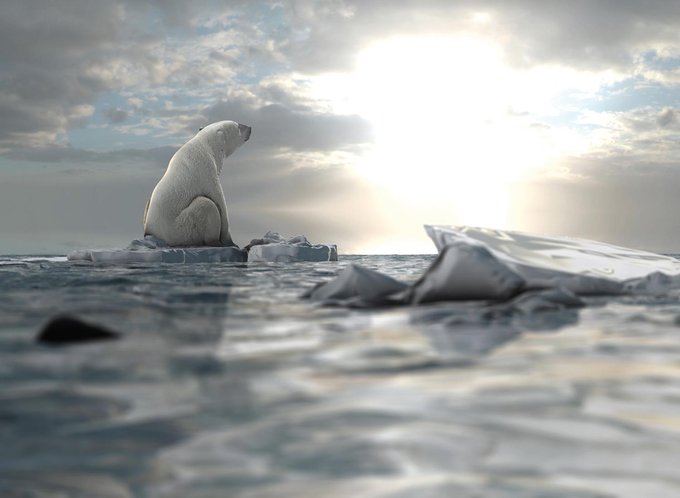 Polar bear on a small piece of melting ice