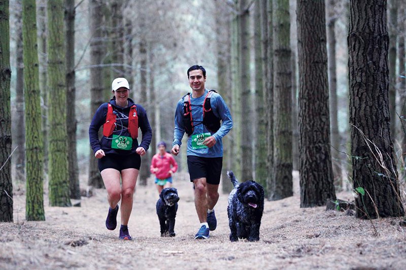 Runners and their dogs participating in the 4 Paws Marathon