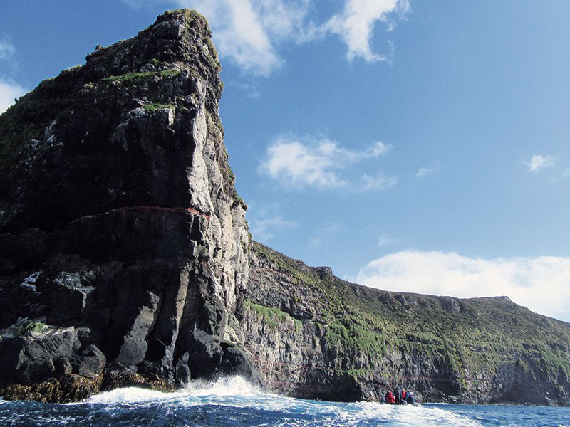 Subantarctic coast