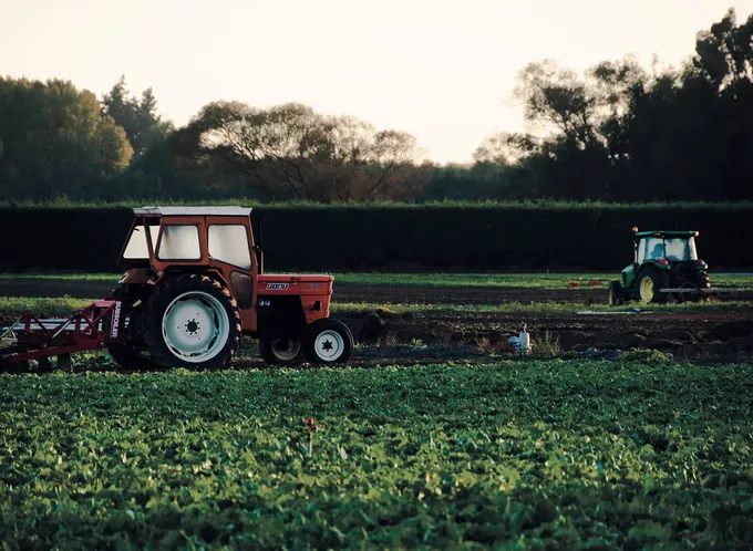 Tractors at work in a field