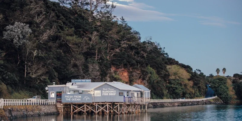 the mangonui fish shop